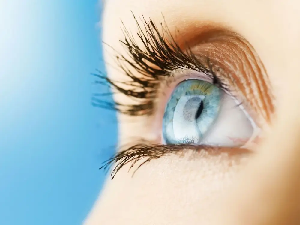 Eye Care and Laser Surgery of Newton - Wellesley office in Wellesley